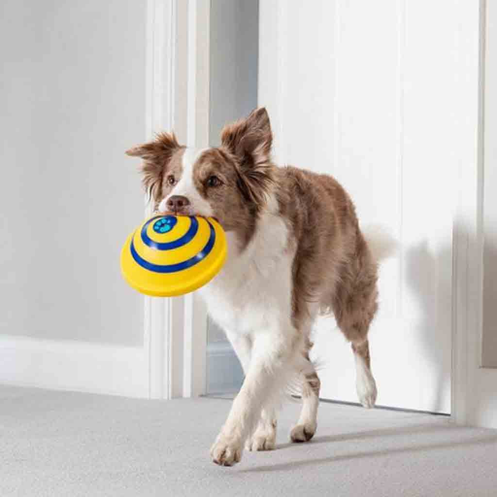 Woof Glider Sounding Disc Toy for Dogs