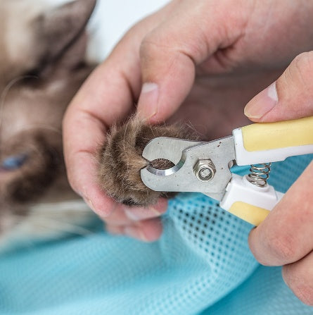 Adjustable Soft Cat Grooming Bag - Mesh Shower & Nail Trimming