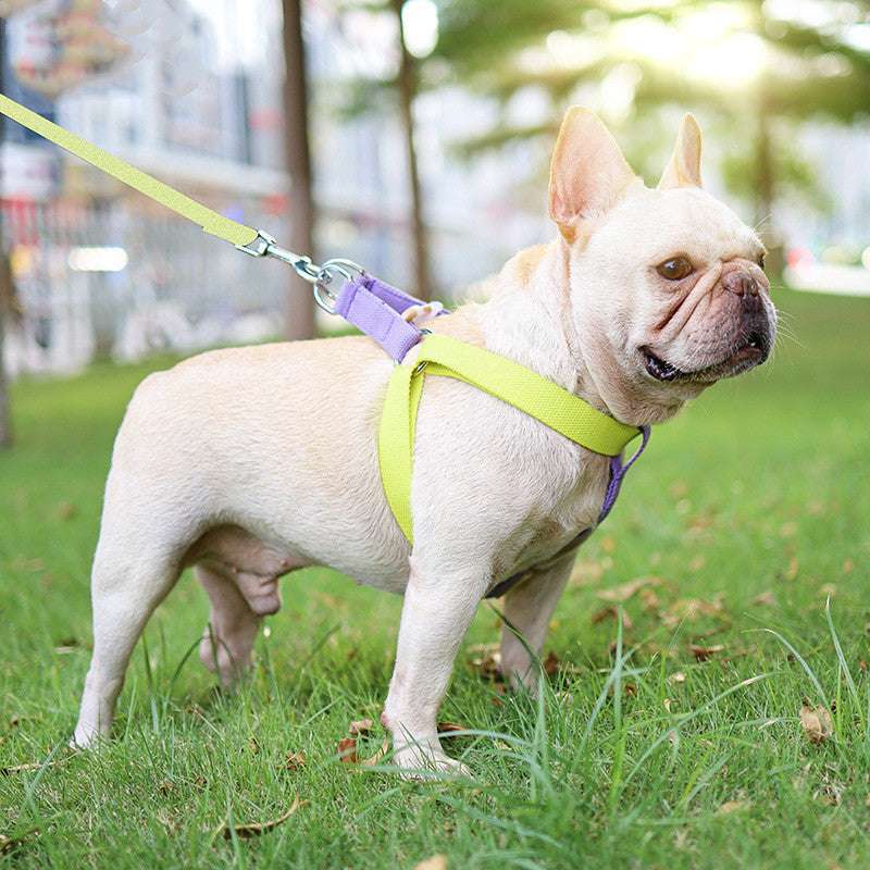 Multifunctional Retractable Pet Leash