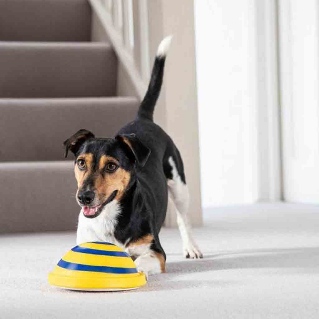 Woof Glider Sounding Disc Toy for Dogs