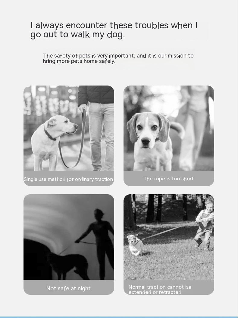 Ring with Light Pet Leash - Automatic Retractable