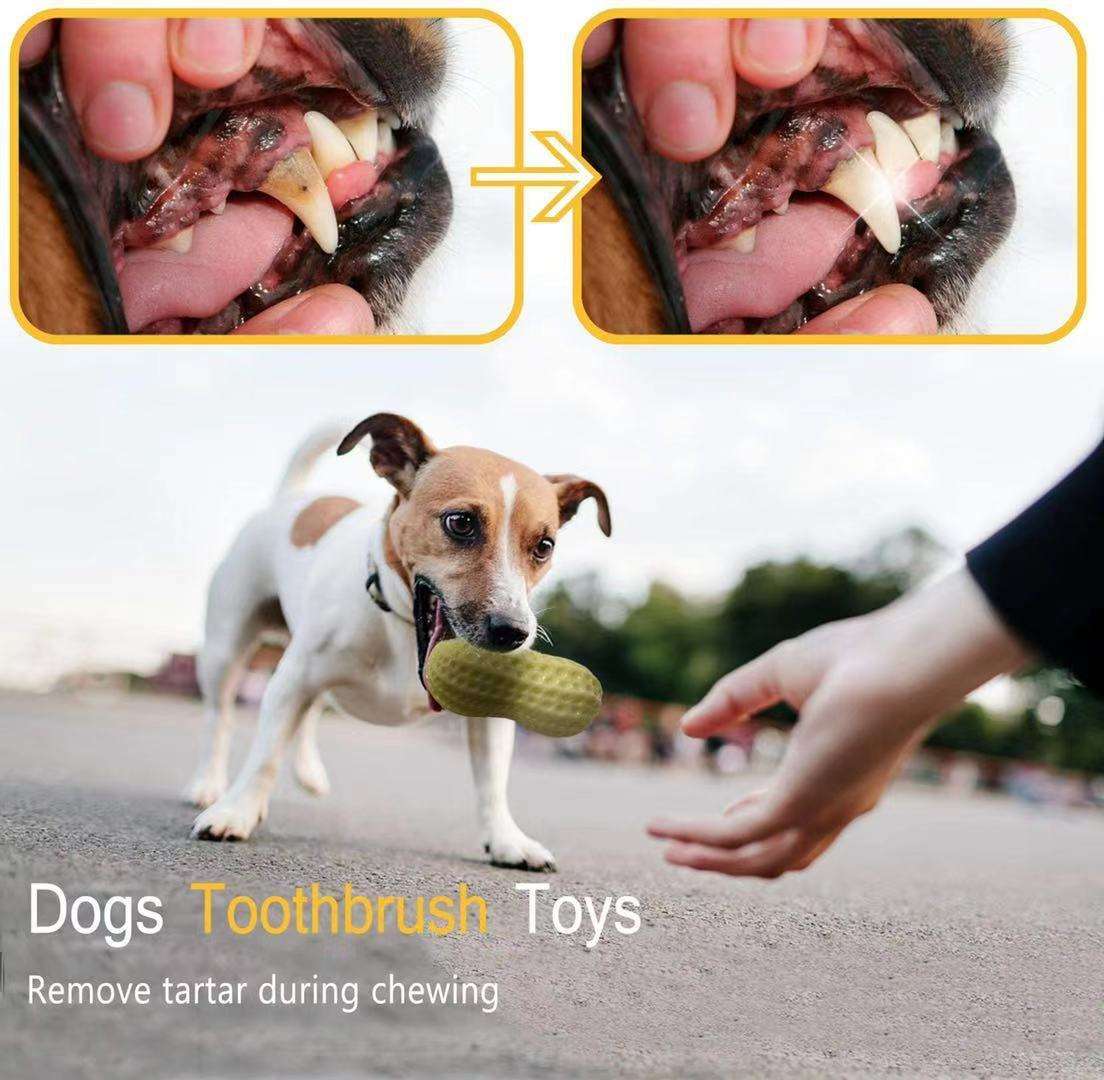 Squeaky Rubber Peanut Chew Toy for Pets