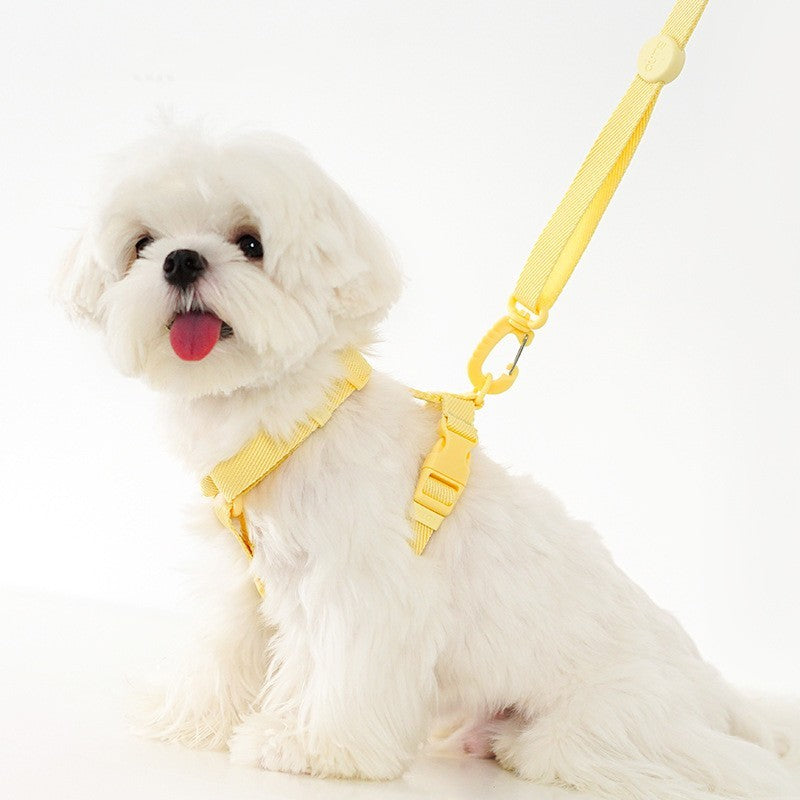 H-Type Chest and Back Lead Rope