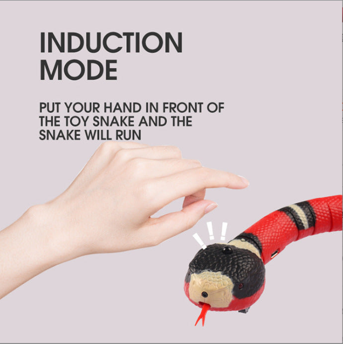 Interactive Electric Induction Snake Toy for Cats