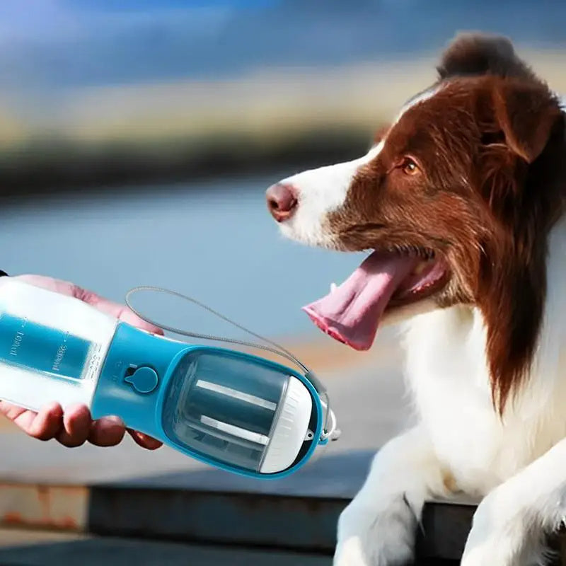 Portable 3-in-1 Dog Water Cup, Food, and Waste Bag Dispenser