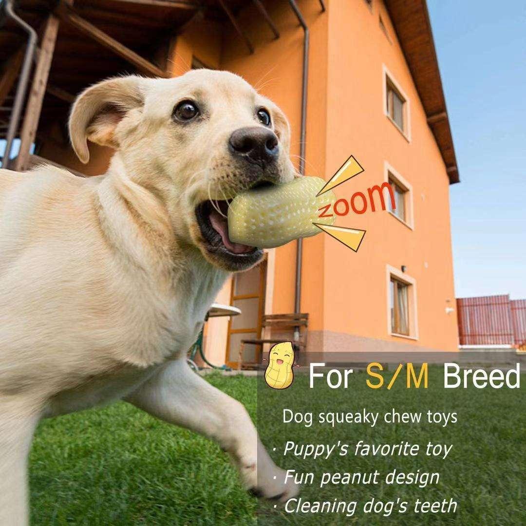 Squeaky Rubber Peanut Chew Toy for Pets