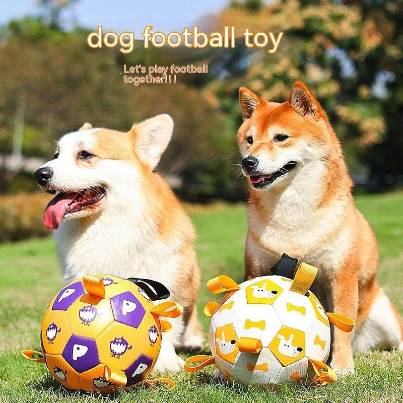 Interactive Soccer Ball Toy for Dogs
