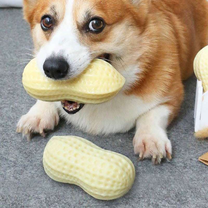 Squeaky Rubber Peanut Chew Toy for Pets