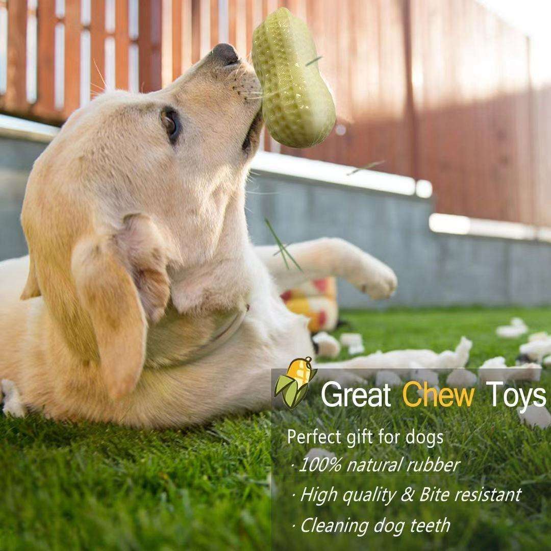 Squeaky Rubber Peanut Chew Toy for Pets