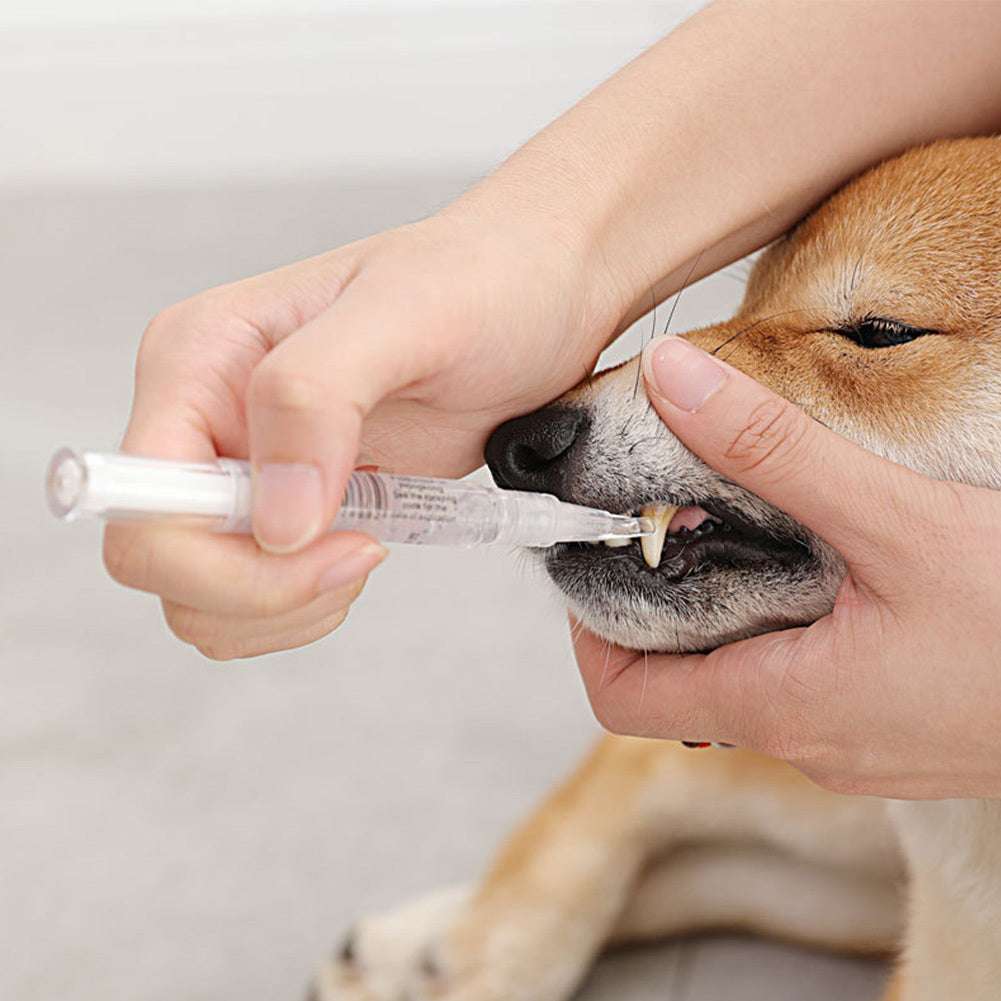 Pet Dental Repair Kit - Teeth Cleaning Pen