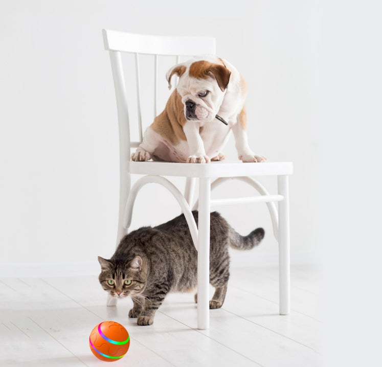 Interactive Cat Toy - Smart Rotating Ball