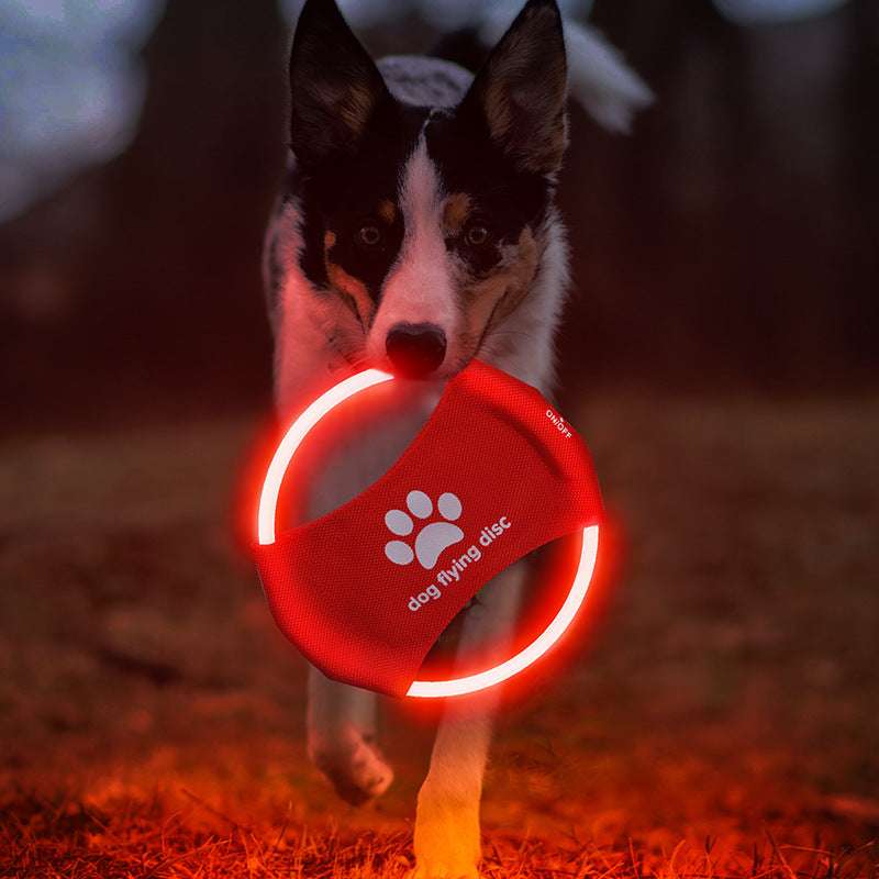 Luminous Dog Frisbee Toy - Perfect for Games