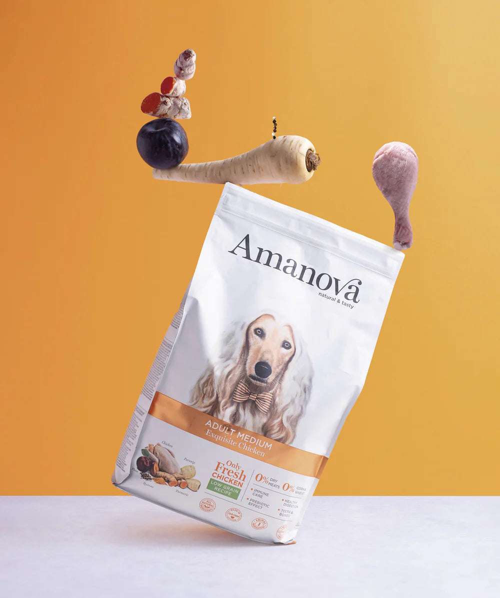 Amanova Exquisite chicken Adult medium