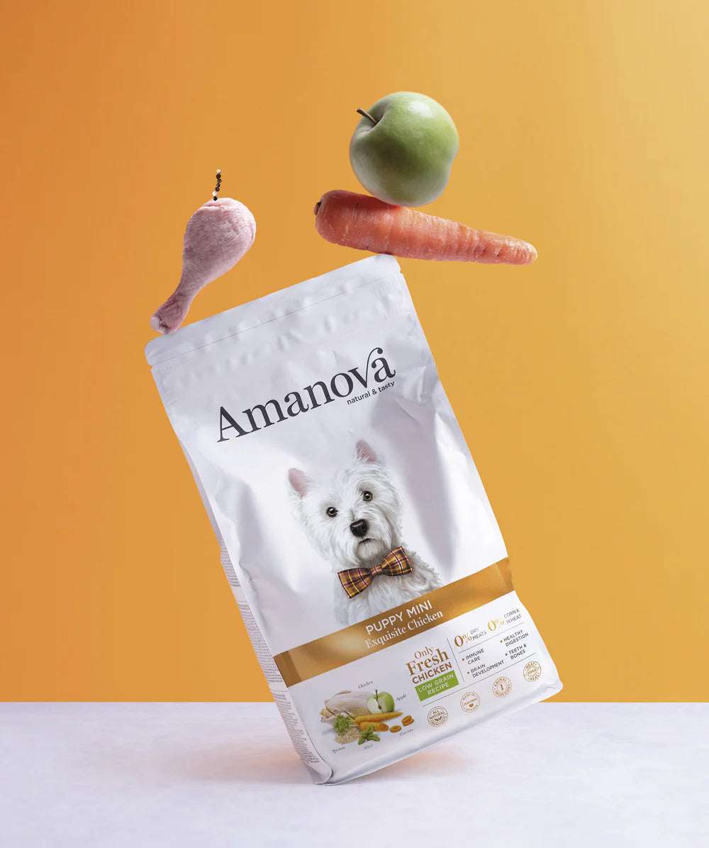 Amanova Exquisite chicken.Puppy Mini