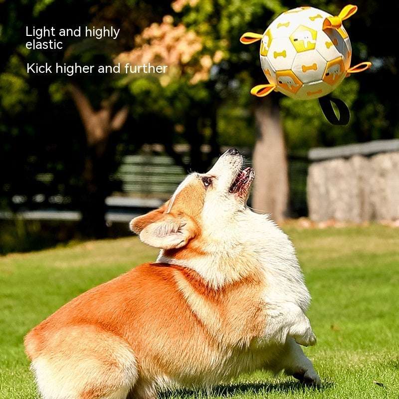 Interactive Soccer Ball Toy for Dogs