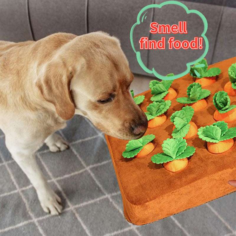 Carrot Plush Chew Toy for Dogs & Puppies
