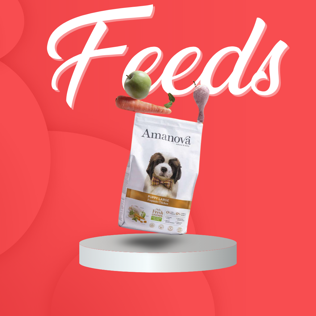 Dog Food