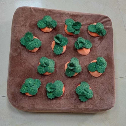 Carrot Plush Chew Toy for Dogs & Puppies