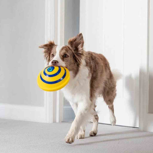 Woof Glider Sounding Disc Toy for Dogs