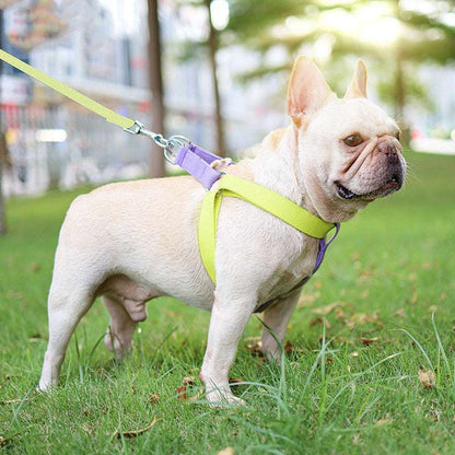 Multifunctional Retractable Pet Leash