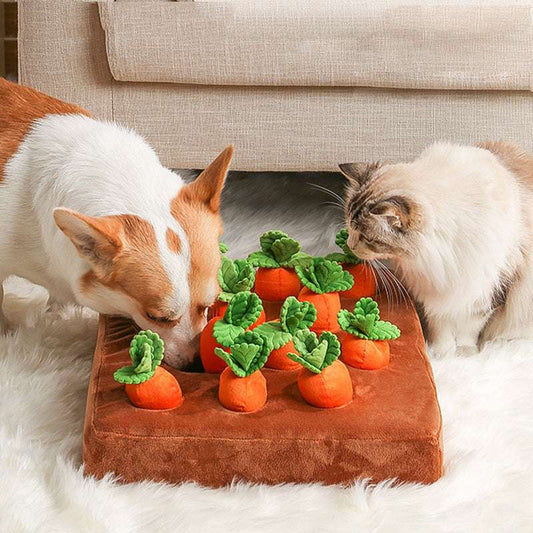 Carrot Plush Chew Toy for Dogs & Puppies