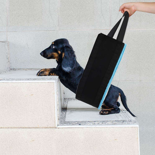 Dog Support Belt - Pet Power Assistance Strap
