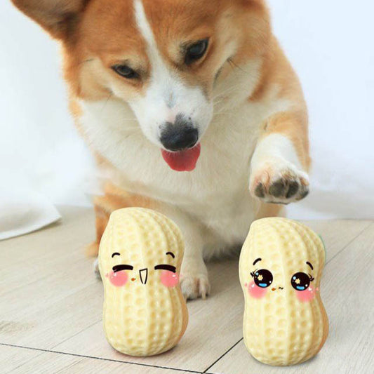 Squeaky Rubber Peanut Chew Toy for Pets