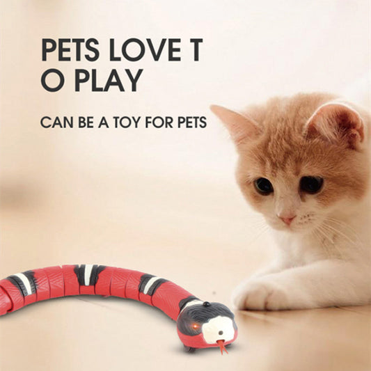 Interactive Electric Induction Snake Toy for Cats