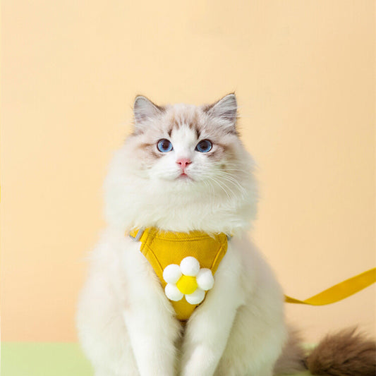 Anti-Breakaway Cat Leash