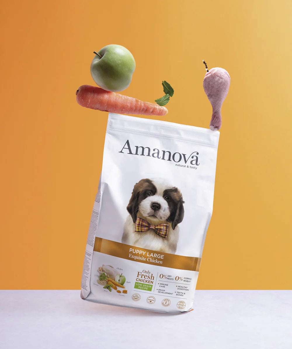 Amanova Exquisite chicken.Puppy Large