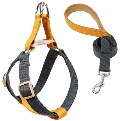 Multifunctional Retractable Pet Leash